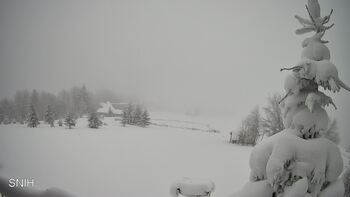 Rachów 3 styczeń 2026 rok, 2026-01-03 10:00