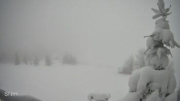 Rachów 3 styczeń 2026 rok, 2026-01-03 13:00