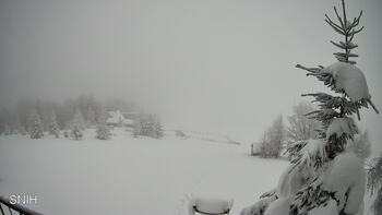 Рахів 8 січня 2026 року, 2026-01-08 16:00