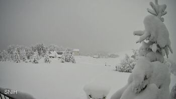 Рахів 12 січня 2026 року, 2026-01-12 13:00