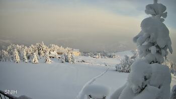 Рахів 13 січня 2026 року, 2026-01-13 16:00