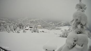 Рахів 14 січня 2026 року, 2026-01-14 13:00