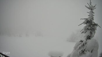 Рахів 15 січня 2026 року, 2026-01-15 13:00