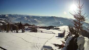 Rachów 20 styczeń 2026 rok 10:00