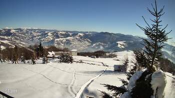 Rachów 20 styczeń 2026 rok 13:00