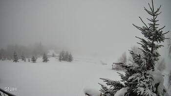 Рахів 24 січня 2026 року, 2026-01-24 10:00