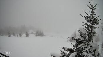 Рахів 24 січня 2026 року, 2026-01-24 13:00