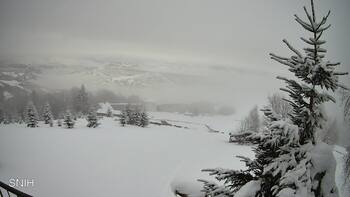 Рахів 24 січня 2026 року, 2026-01-24 16:00