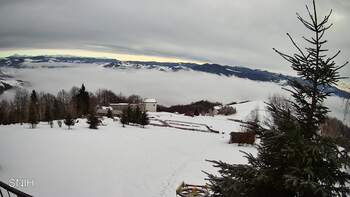 Рахів 28 січня 2026 року, 2026-01-28 10:00