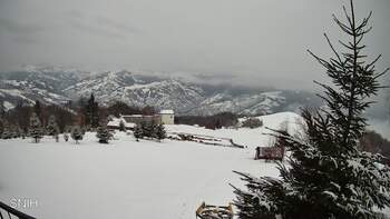 Рахів 29 січня 2026 року, 2026-01-29 13:00