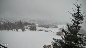 Рахів 29 січня 2026 року, 2026-01-29 16:00