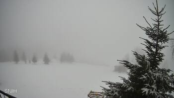 Rachów 8 luty 2026 rok 10:00