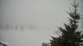 Rachów 8 luty 2026 rok 16:00