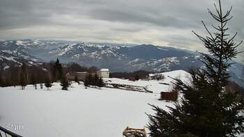 Рахів 13 лютого 2026 року, 2026-02-13 16:00