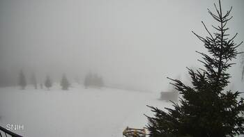 Рахів 14 лютого 2026 року, 2026-02-14 10:00