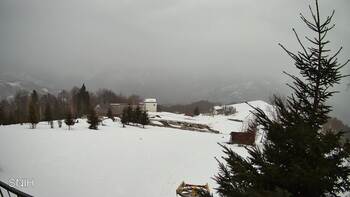 Рахів 15 лютого 2026 року, 2026-02-15 16:00