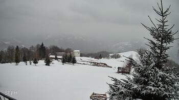 Рахів 19 лютого 2026 року, 2026-02-19 16:00