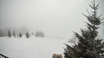 Рахів 22 лютого 2026 року, 2026-02-22 10:00