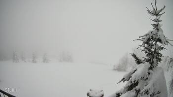 Рахів 24 лютого 2026 року, 2026-02-24 13:00