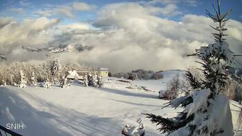 Rachów 24 luty 2026 rok, 2026-02-24 16:00