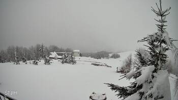 Рахів 25 лютого 2026 року, 2026-02-25 16:00