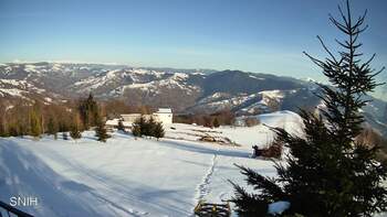 Rachów 1 marsz 2026 rok, 2026-03-01 16:00