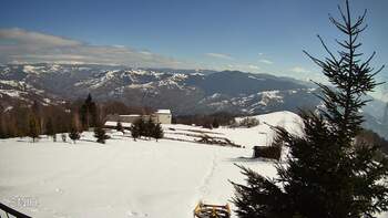 Rachów 3 marsz 2026 rok, 2026-03-03 13:00