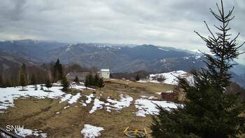 Rachów 20 marsz 2026 rok, 2026-03-20 16:00