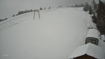 Пилипець 11 квітня 2025 року, 2025-04-11 13:00