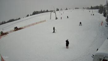 Pylypets 12 january 2026 year, 2026-01-12 16:00