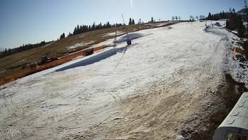 Пилипець 16 березня 2026 року, 2026-03-16 10:00