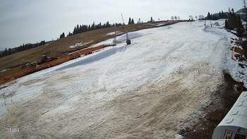 Пилипець 17 березня 2026 року, 2026-03-17 10:00