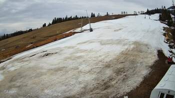 Pylypets 19 march 2026 year, 2026-03-19 16:00