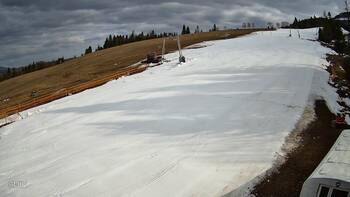 Pylypets 20 march 2026 year, 2026-03-20 16:00