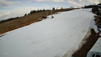 Pylypets 21 march 2026 year, 2026-03-21 16:00