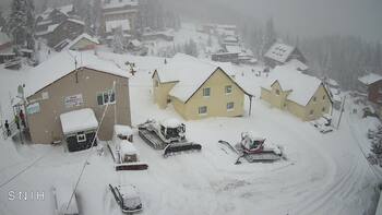 Драгобрат 31 грудня 2025 року, 2025-12-31 10:00