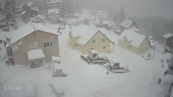 Драгобрат 31 грудня 2025 року, 2025-12-31 13:00