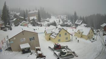 Драгобрат 29 січня 2026 року, 2026-01-29 10:00