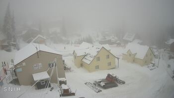 Драгобрат 31 січня 2026 року, 2026-01-31 10:00