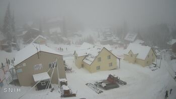 Драгобрат 31 січня 2026 року, 2026-01-31 16:00