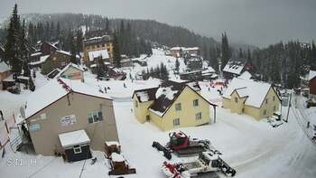 Драгобрат 4 лютого 2026 року 13:00