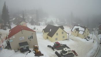 Драгобрат 7 лютого 2026 року, 2026-02-07 13:00