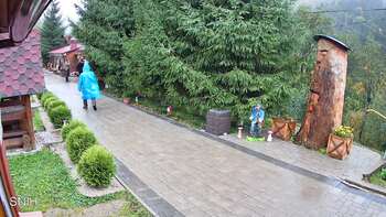 Міжгір’я 11 жовтня 2025 року, 2025-10-11 13:00