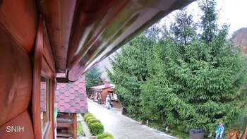 Міжгір’я 25 жовтня 2025 року, 2025-10-25 16:00