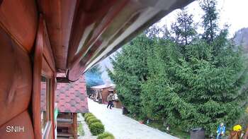 Міжгір’я 3 листопада 2025 року, 2025-11-03 13:00