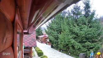 Міжгір’я 5 листопада 2025 року, 2025-11-05 10:00