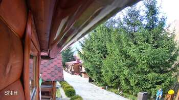 Міжгір’я 5 листопада 2025 року, 2025-11-05 13:00