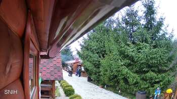 Міжгір’я 7 листопада 2025 року, 2025-11-07 10:00