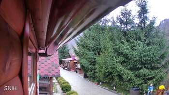 Міжгір’я 8 листопада 2025 року, 2025-11-08 16:00