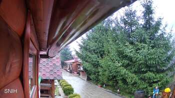 Міжгір’я 9 листопада 2025 року, 2025-11-09 10:00